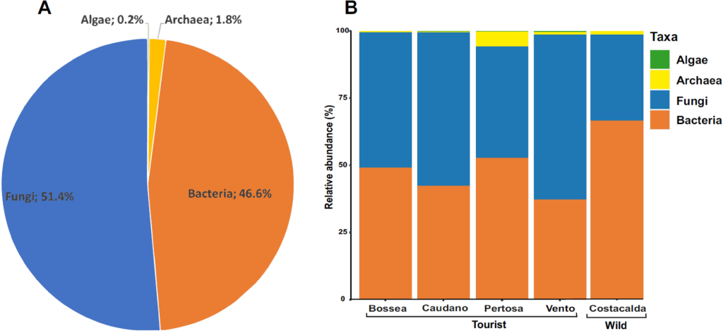 Bacterial Diversity & Ecosystem Variability