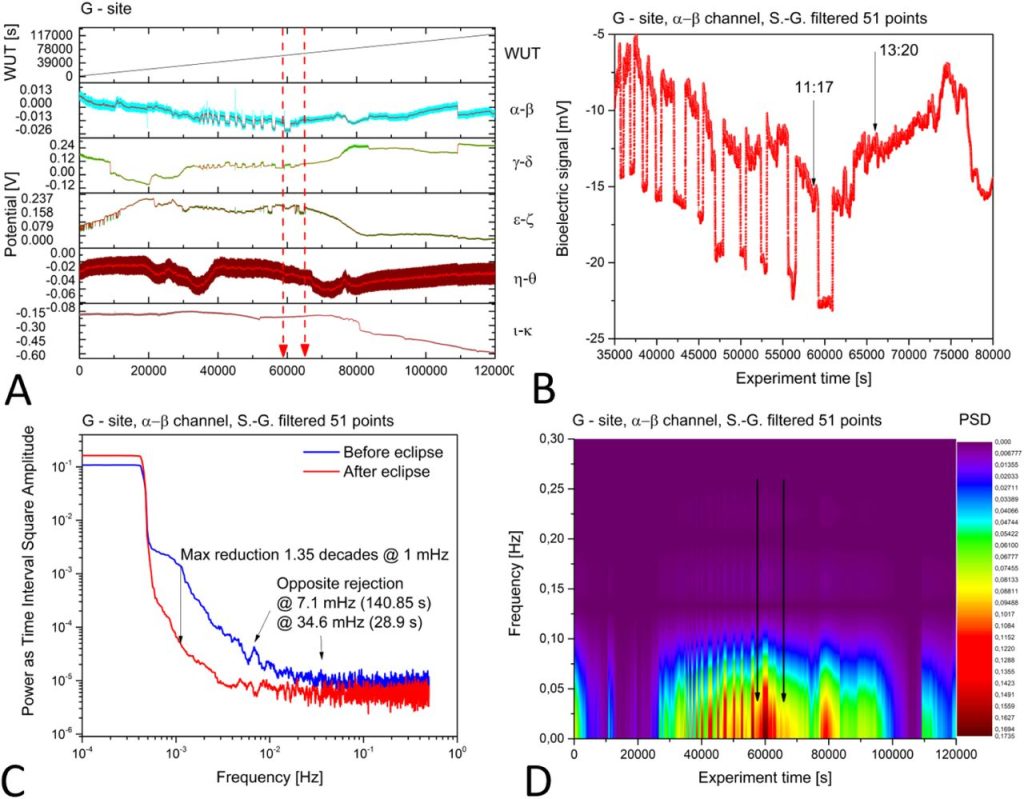 Bioelectrical Signals Recorded From Trees During an Eclipse