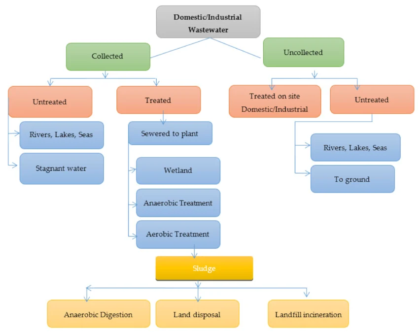 Cómo los contaminantes llegan al océano