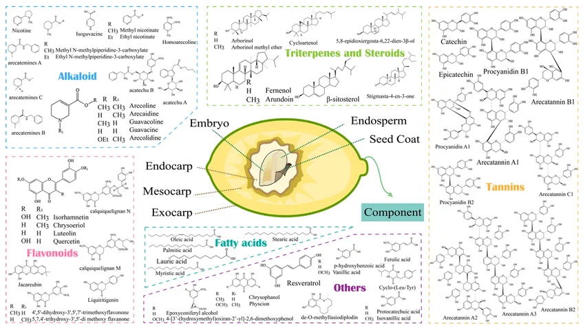 Composición química y efectos de la nuez de betel