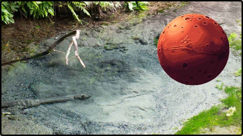 Descubren Una Gigantesca Fuente De Agua En Marte Que Podría Ayudar A La Supervivencia Humana