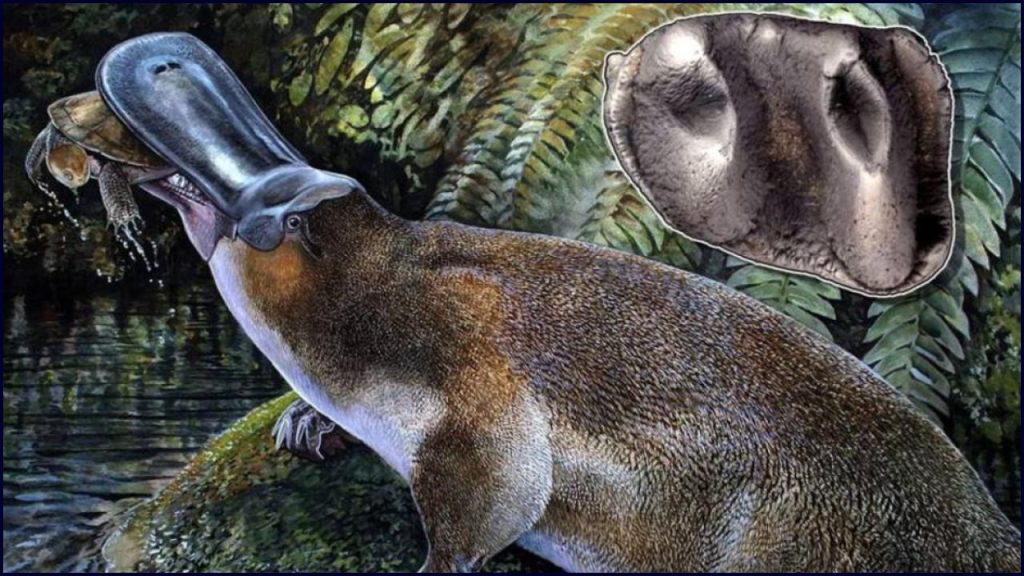 Descubrimiento inesperado