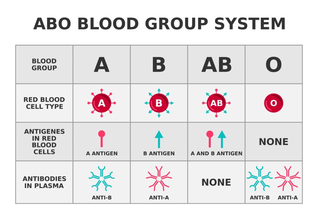 Diagram of ABO Blood Group System (Basic Understanding)