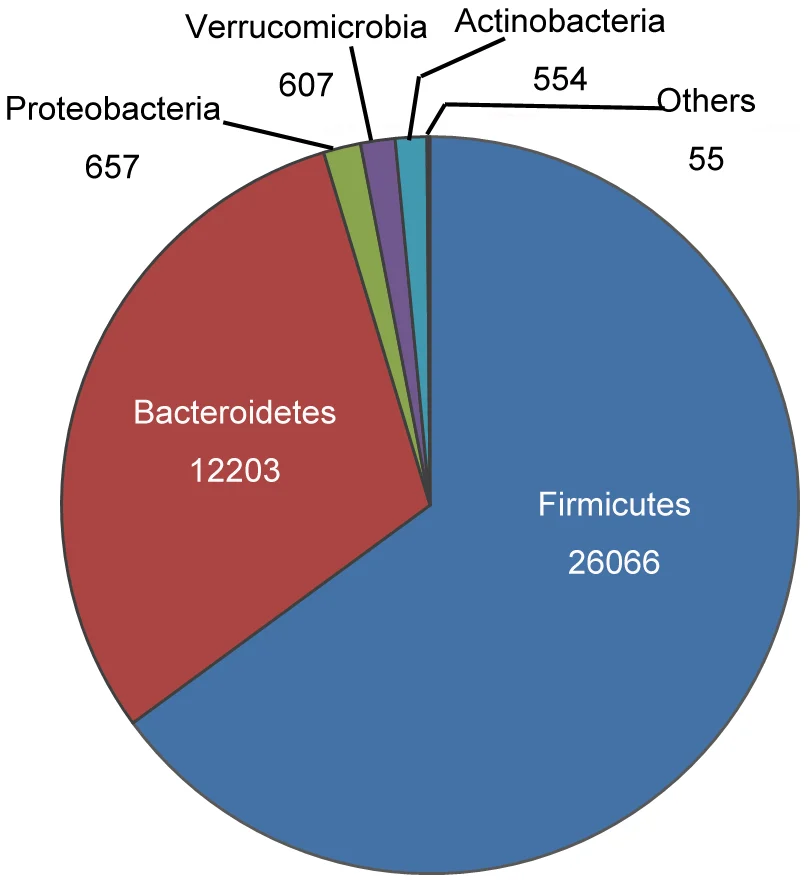 Distribución de bacterias intestinales en personas con diabetes