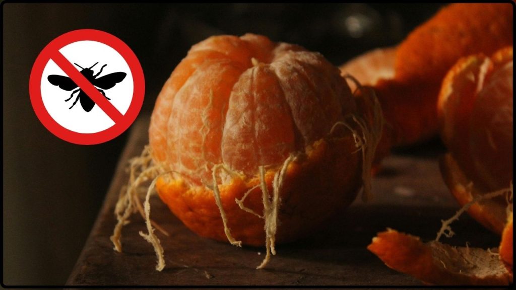El Truco Casero Con Cáscara De Naranja Que Está Ahuyentando Plagas En Minutos