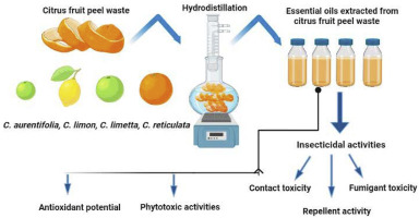 Evidencia científica del limoneno como repelente natural