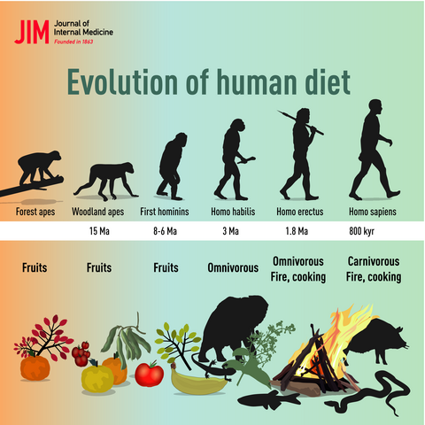 Evolución de la dieta humana
