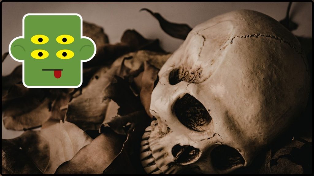 Fósiles Revelan Un Ancestro Extraño Con 4 Ojos De Hace 500 Millones De Años