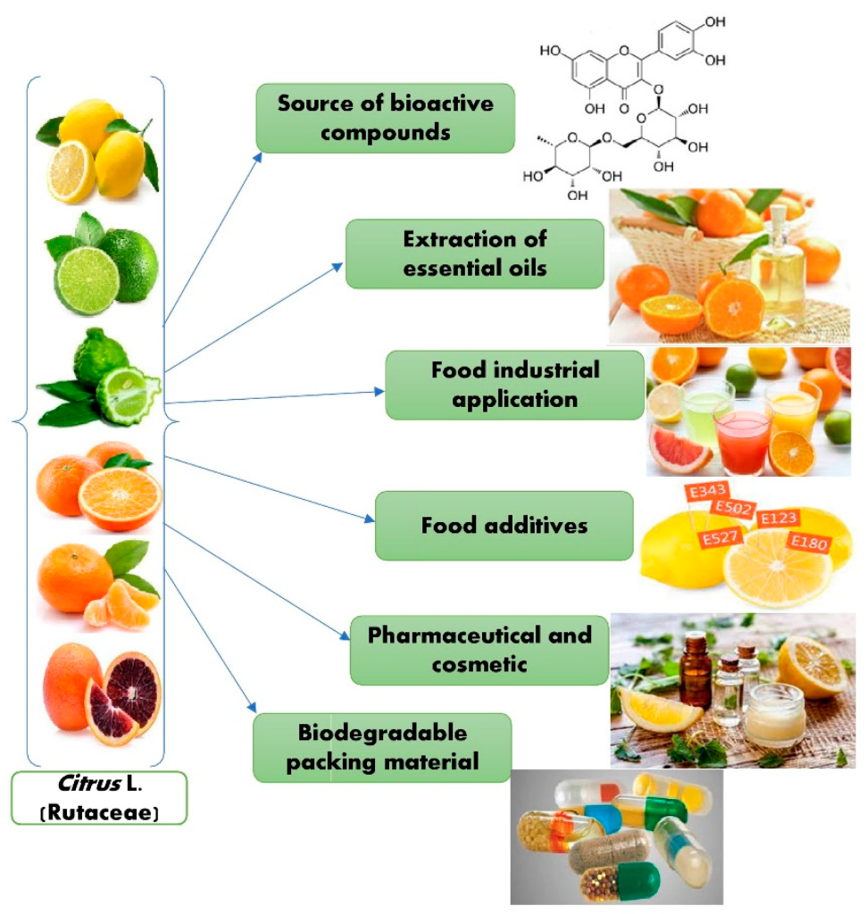 Investigación académica sobre aceites cítricos