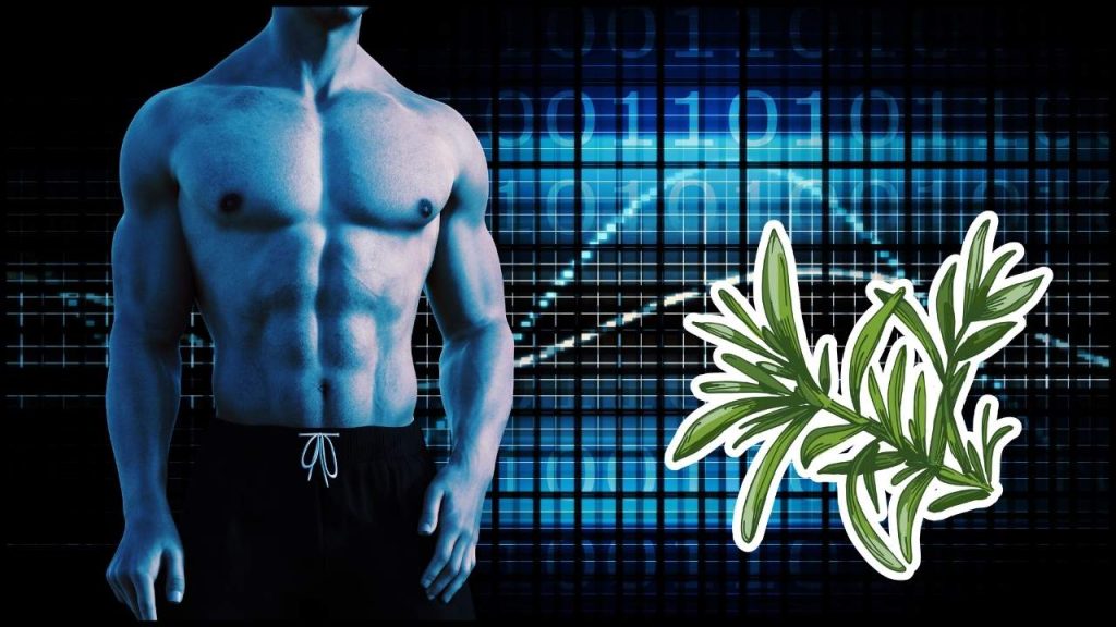 La Hierba Rica En Calcio Que Fortalece Los Huesos Y Casi Nadie Consume