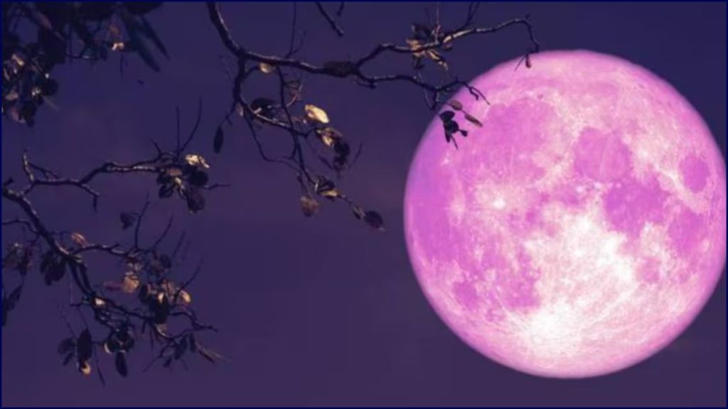 La Luna Rosa De Abril Y La Luna Azul De Mayo