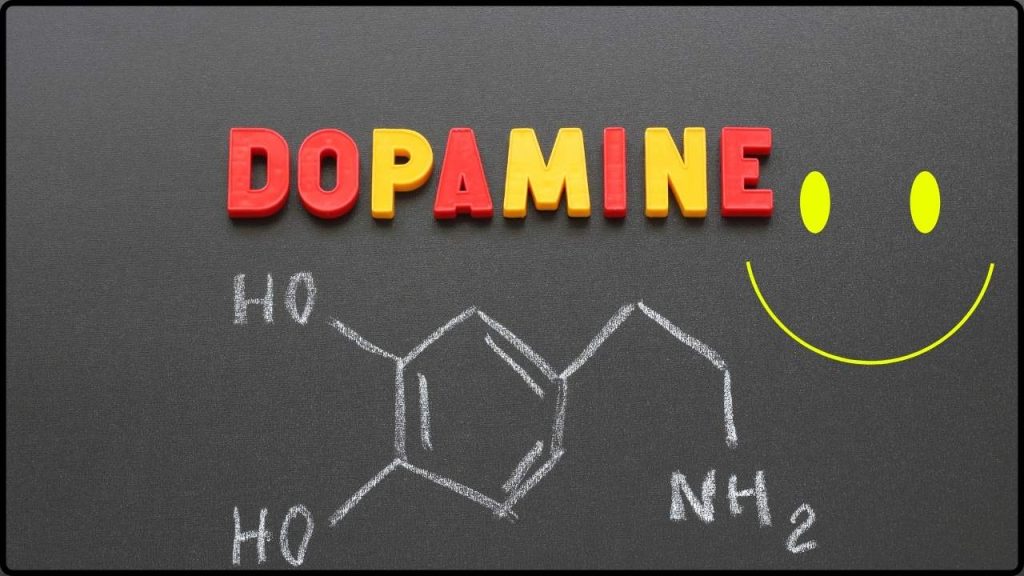 La dopamina ya no es lo que creías La neurociencia replantea la “hormona de la felicidad”