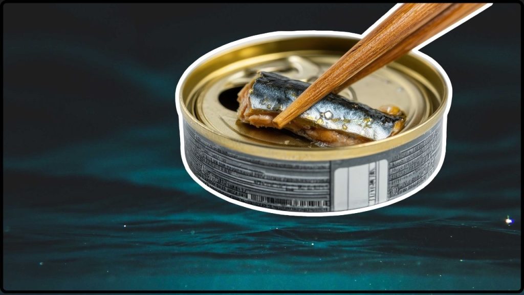 Latas De Salmón De Hace Décadas Revelan Secretos Inesperados Del Océano