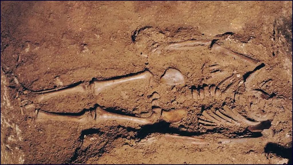 Niños Enterrados Con Cinturones De Guerrero En Una Necrópolis Italian