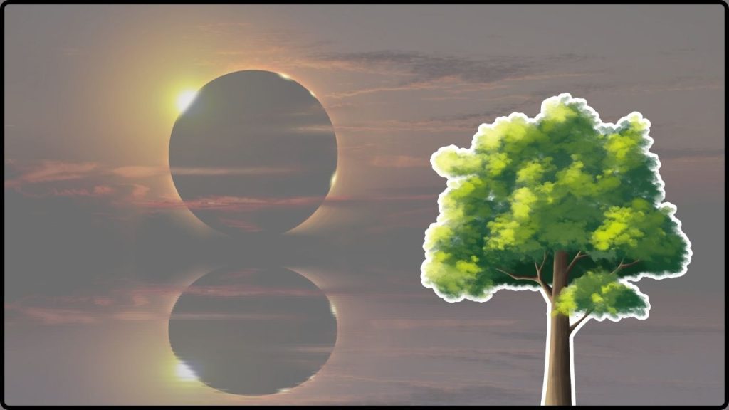 Nuevo Estudio Desmiente Que Los Árboles Puedan Percibir Un Eclipse Solar