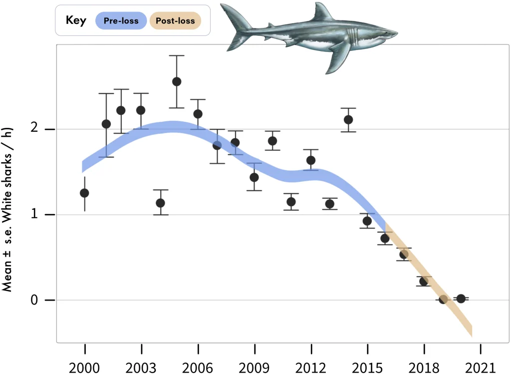 Shark population decline & sightings data