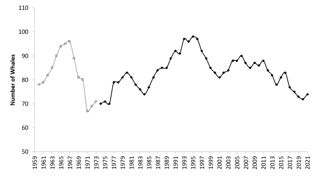 Tamaño de población y crecimiento de orcas (gráfico científico)