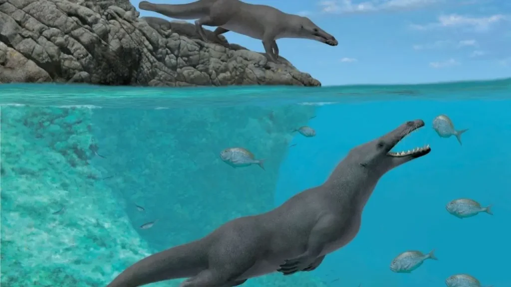 Encontraron Ballenas A 400 Km Tierra Adentro