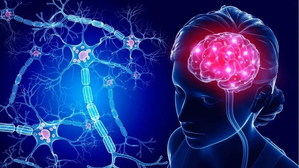 Un Gen Presente En El 99% De Las Personas Aumenta El Riesgo De Alzheimer
