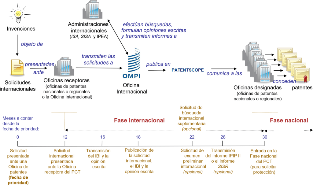 Evaluación y elegibilidad del PIP