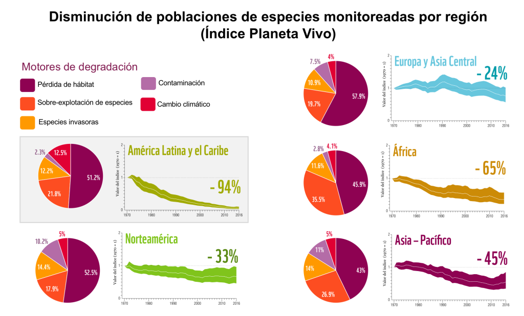 Impacto en la biodiversidad y cadena alimentaria