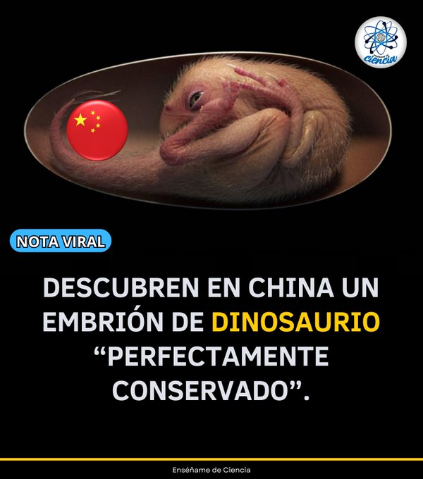 Implicaciones para la paleontología