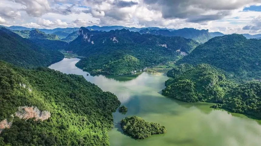 Un Árbol Que Desafía La Naturaleza