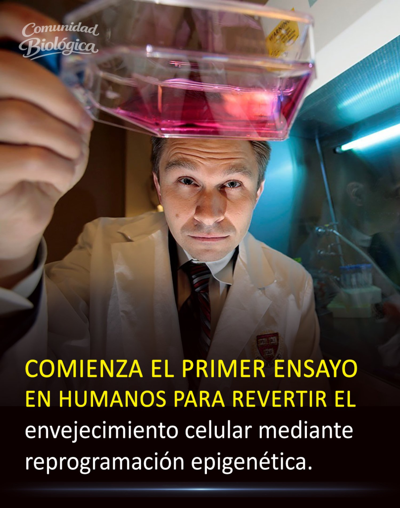 Impacto en la Medicina Moderna