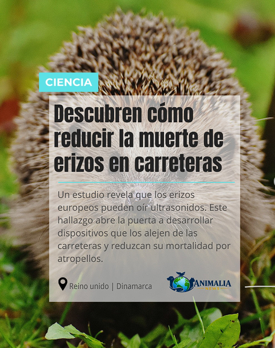 Aplicaciones Prácticas de Esta Descubren