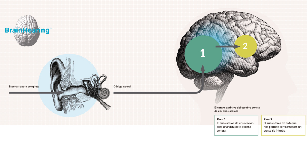 Pérdida de información contextual