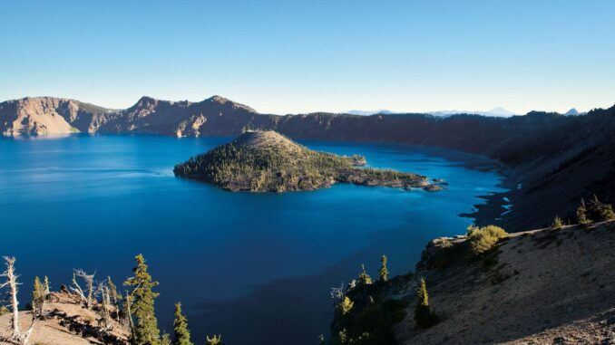 Reacción del sector turístico
