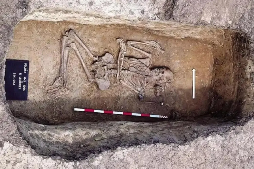 Comparación con otros hallazgos similares