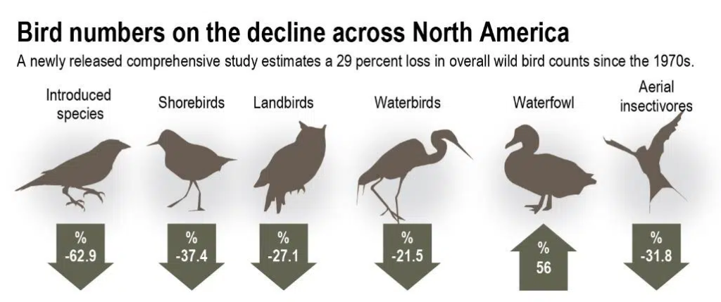 Cambio climático y alteraciones ecológicas