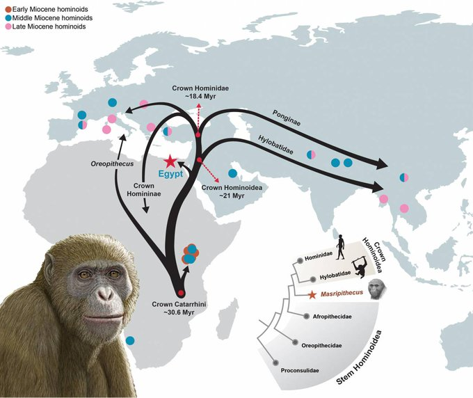 Estructura Social Más Compleja