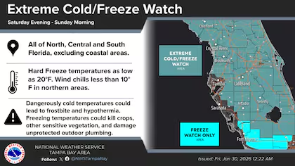 Impactos En El Clima De Florida