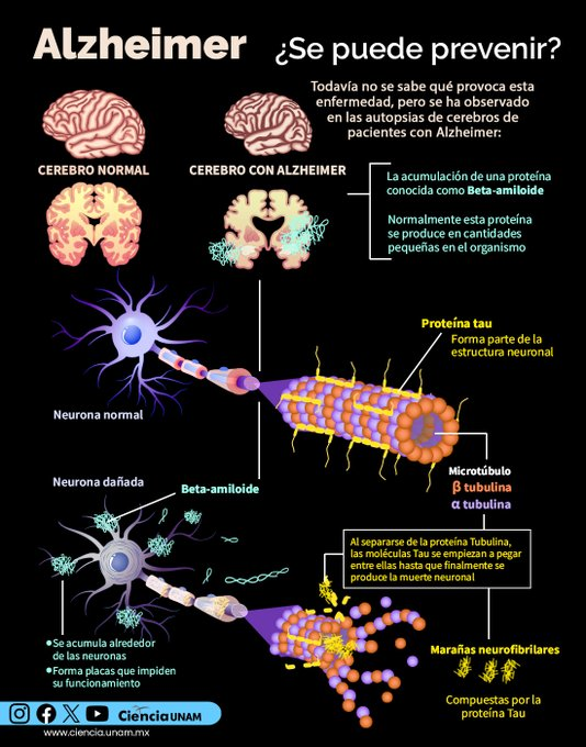 Nuevas investigaciones y avances