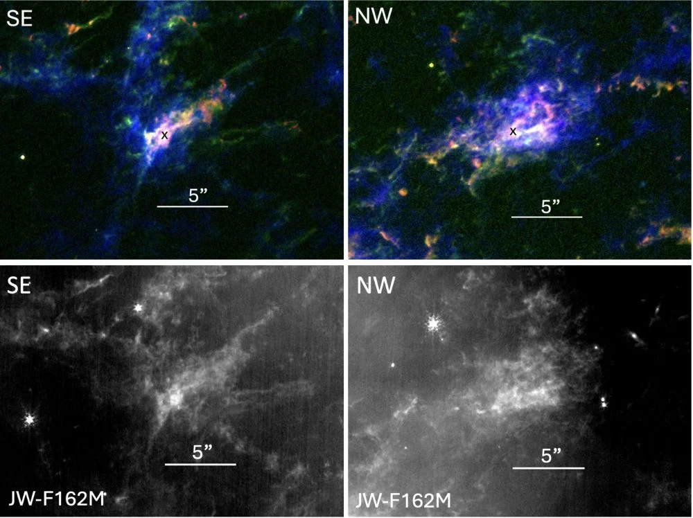 Expansión y dinámica