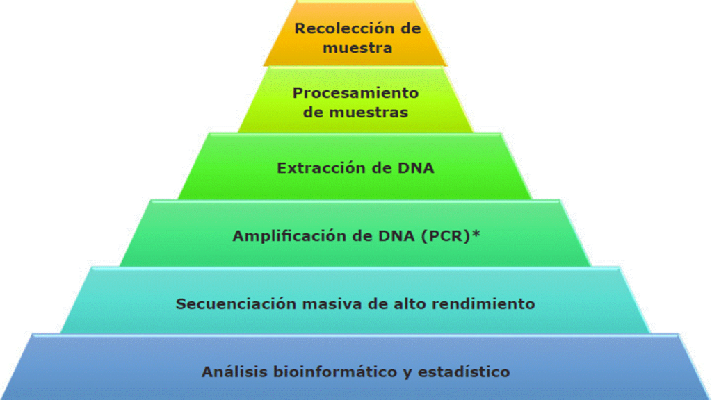 Cómo funciona el proceso de análisis