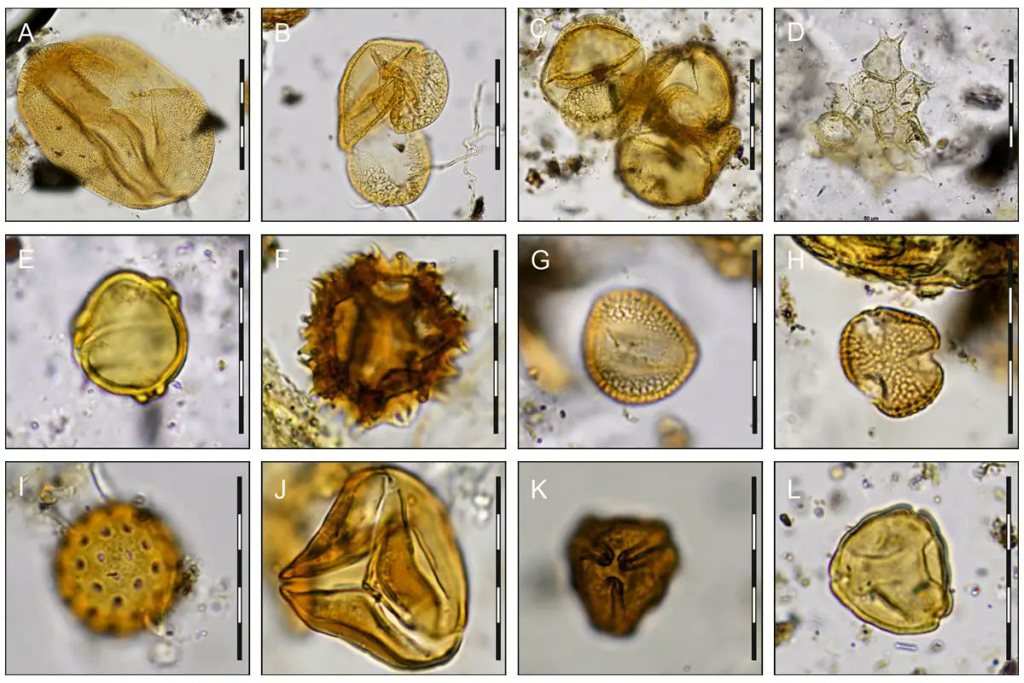 La Relación Con Tutankamón
