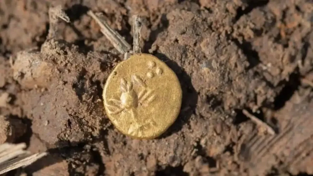 Arqueólogos Descubren Cientos De Monedas Celtas