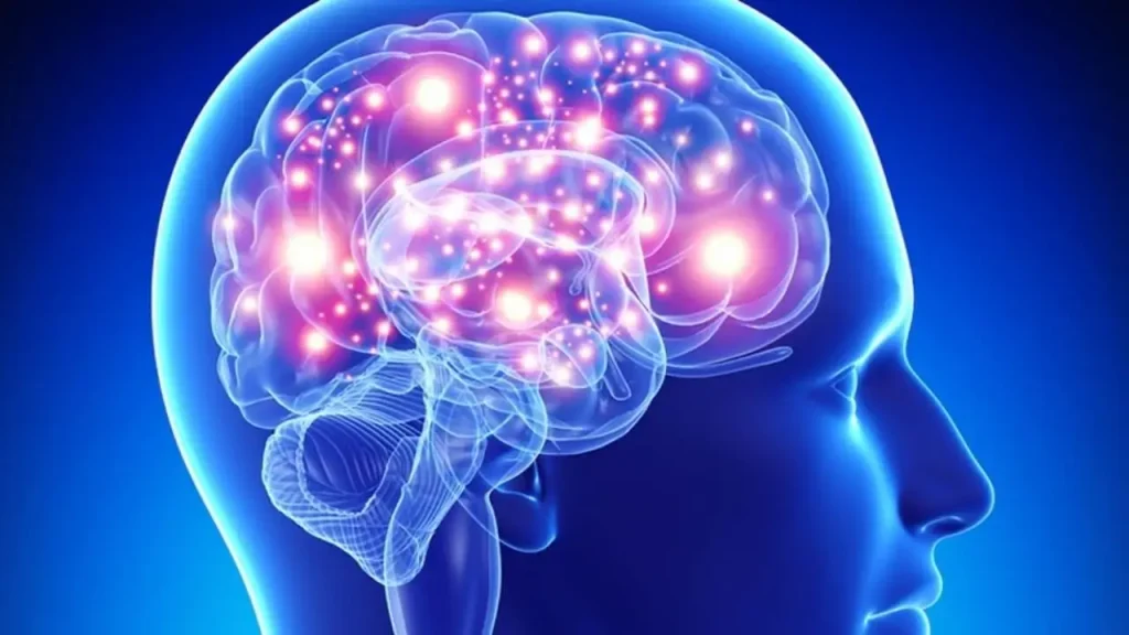 El Sistema De Limpieza Del Cerebro