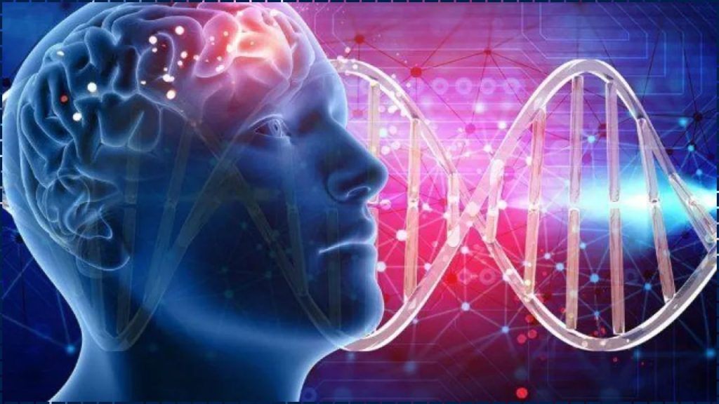 ¿Los Humanos Se Están Deteriorando Genéticamente Y Volviéndose Menos Inteligentes