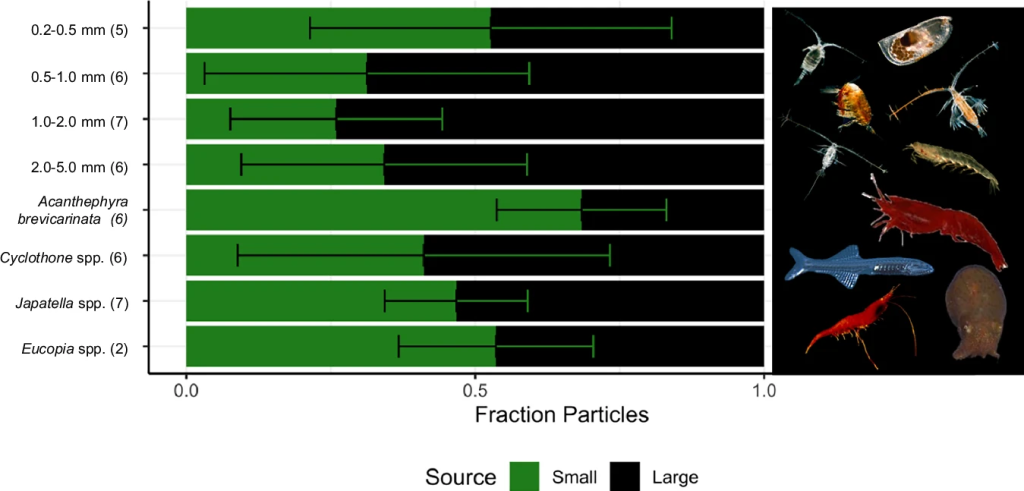 Minería en aguas profundas y plancton