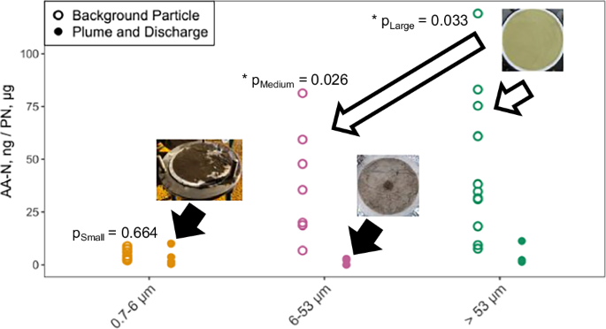 Las plumas de sedimentos