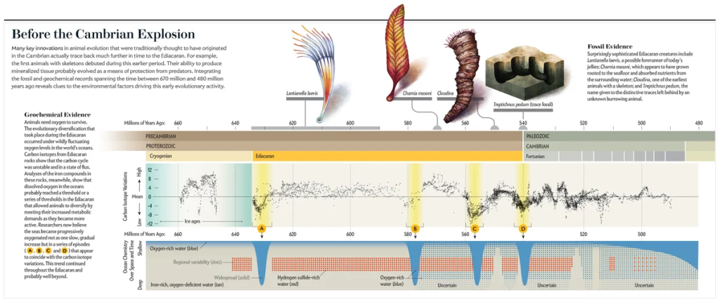 Evidencia de vida compleja antes del Cámbrico
