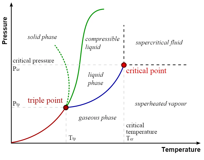 Por qué es tan importante