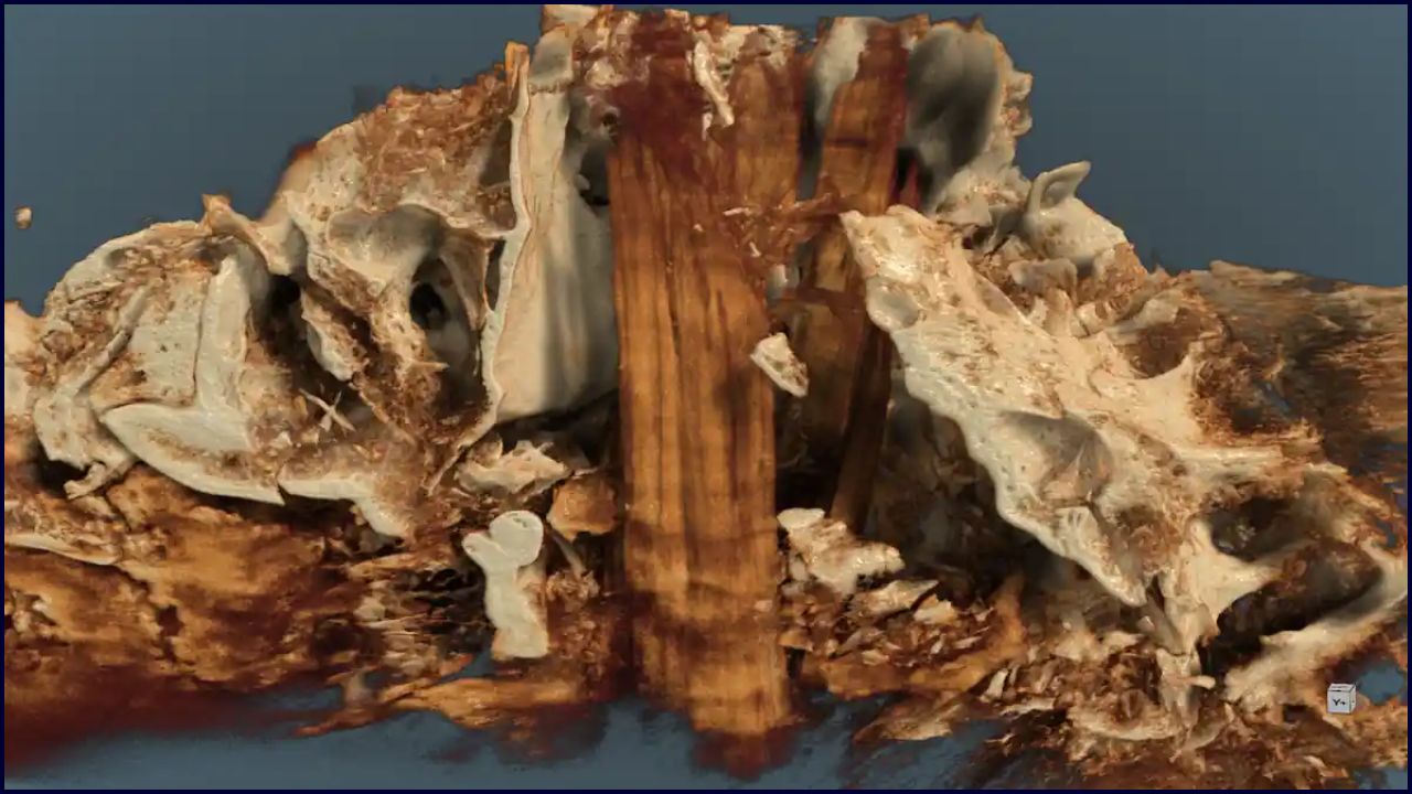 Poste Cerca De La Cremación Más Antigua De Alemania