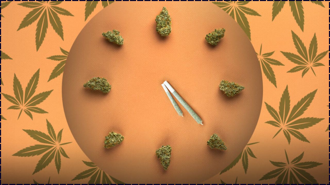 Un Estudio Vincula Hospitalizaciones Por Cannabis Con Un 72%