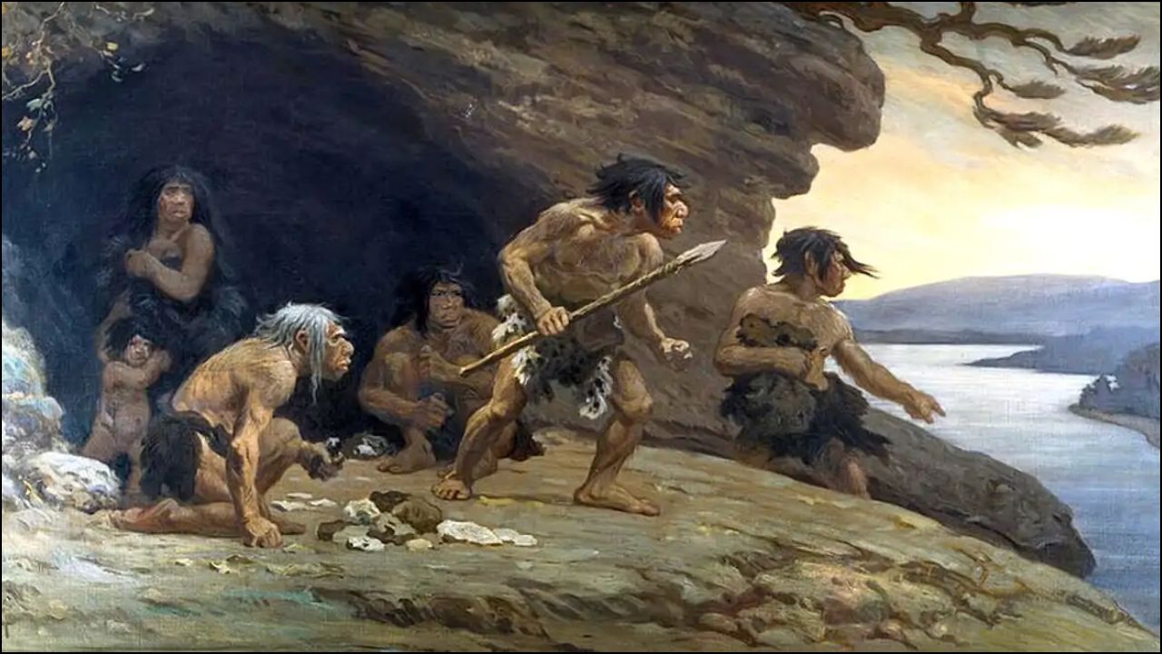 La Desaparición De Los Neandertales