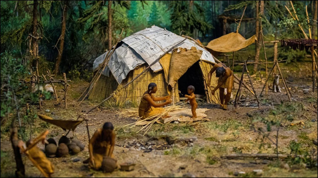 Bosques Habitables En El Mundo Perdido Del Mar Del Norte